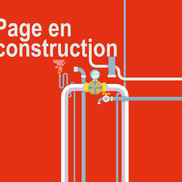 index of wp content