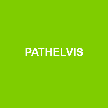 PATHELVIS
