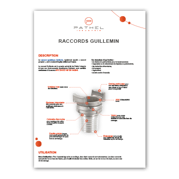 visuel-telechargements-raccords-Guillemin