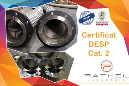 Certification DESP Catégorie II